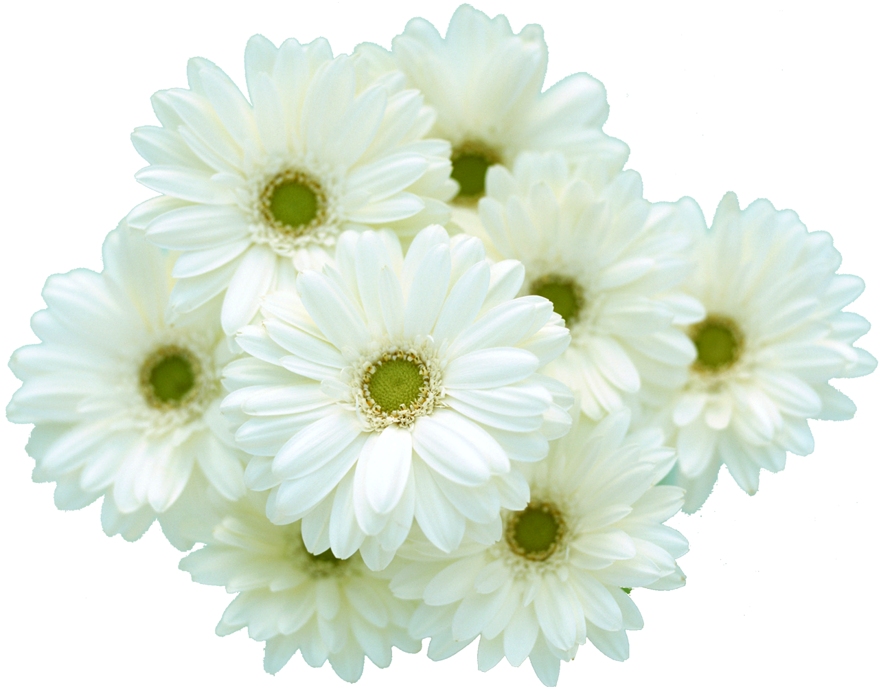 花 無料 画像詳細 2位