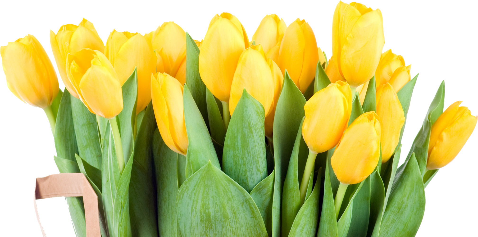 花 無料 画像詳細 6位
