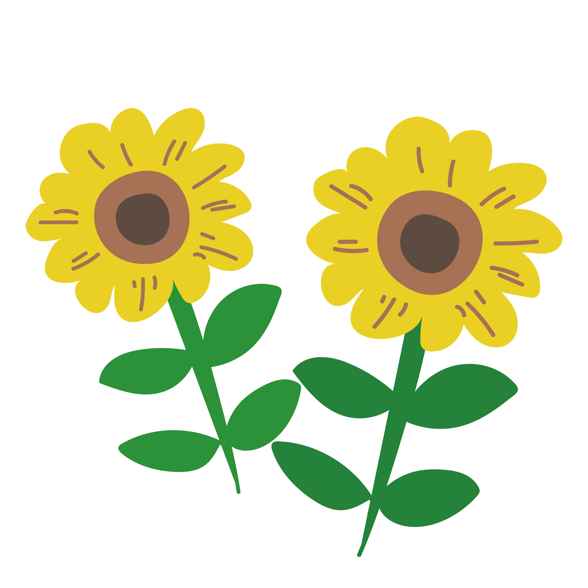 花 画像 かわいい詳細 3位