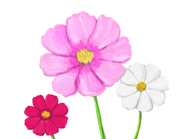 花 綺麗 イラスト - KibrisPDR