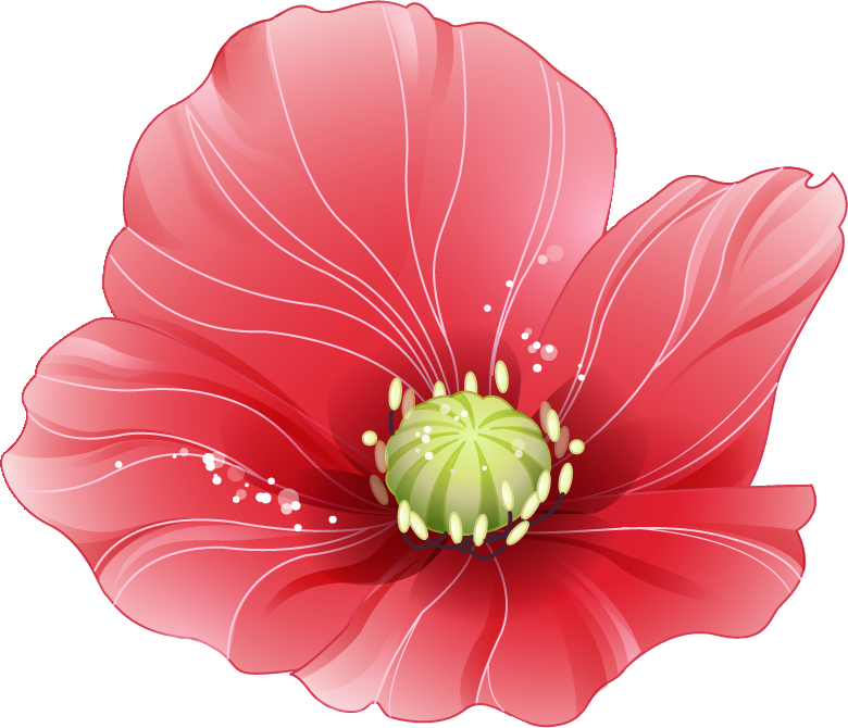 花 綺麗 イラスト詳細 10位
