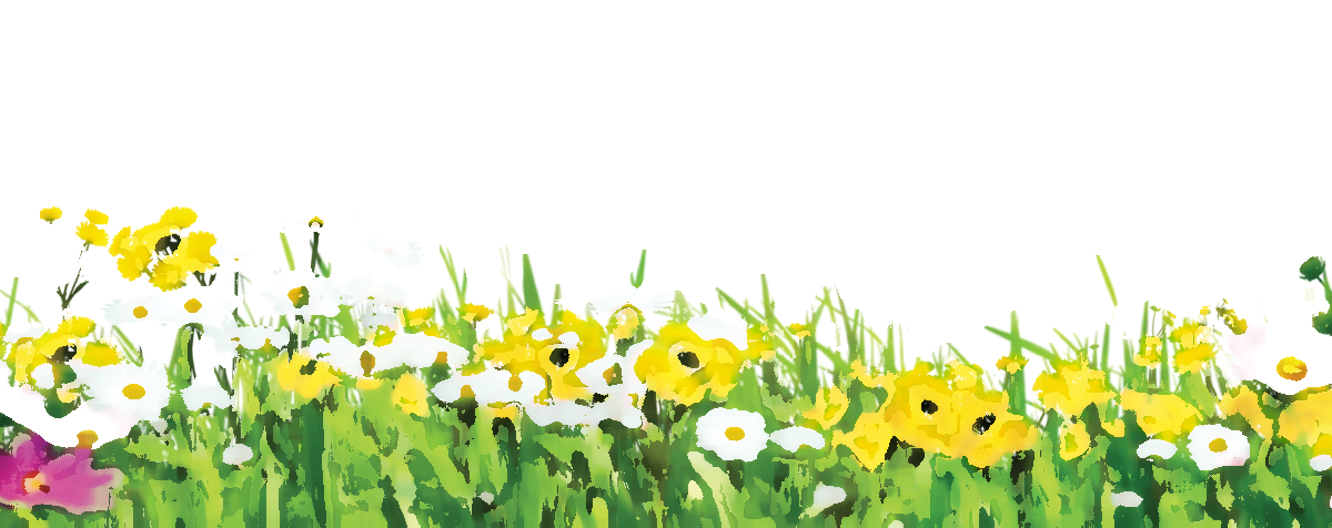 花畑 イラスト フリー詳細 8位