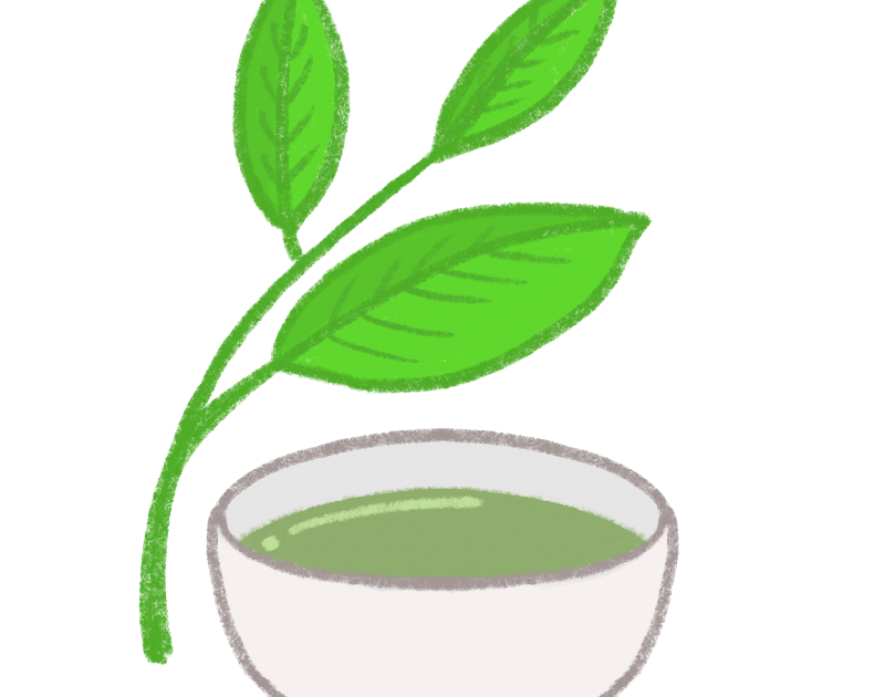 茶葉 イラスト詳細 7位