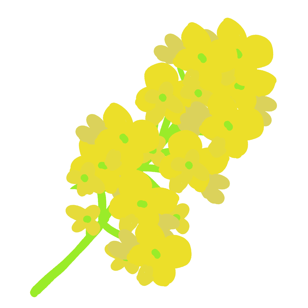 菜の花 イラスト詳細 10位