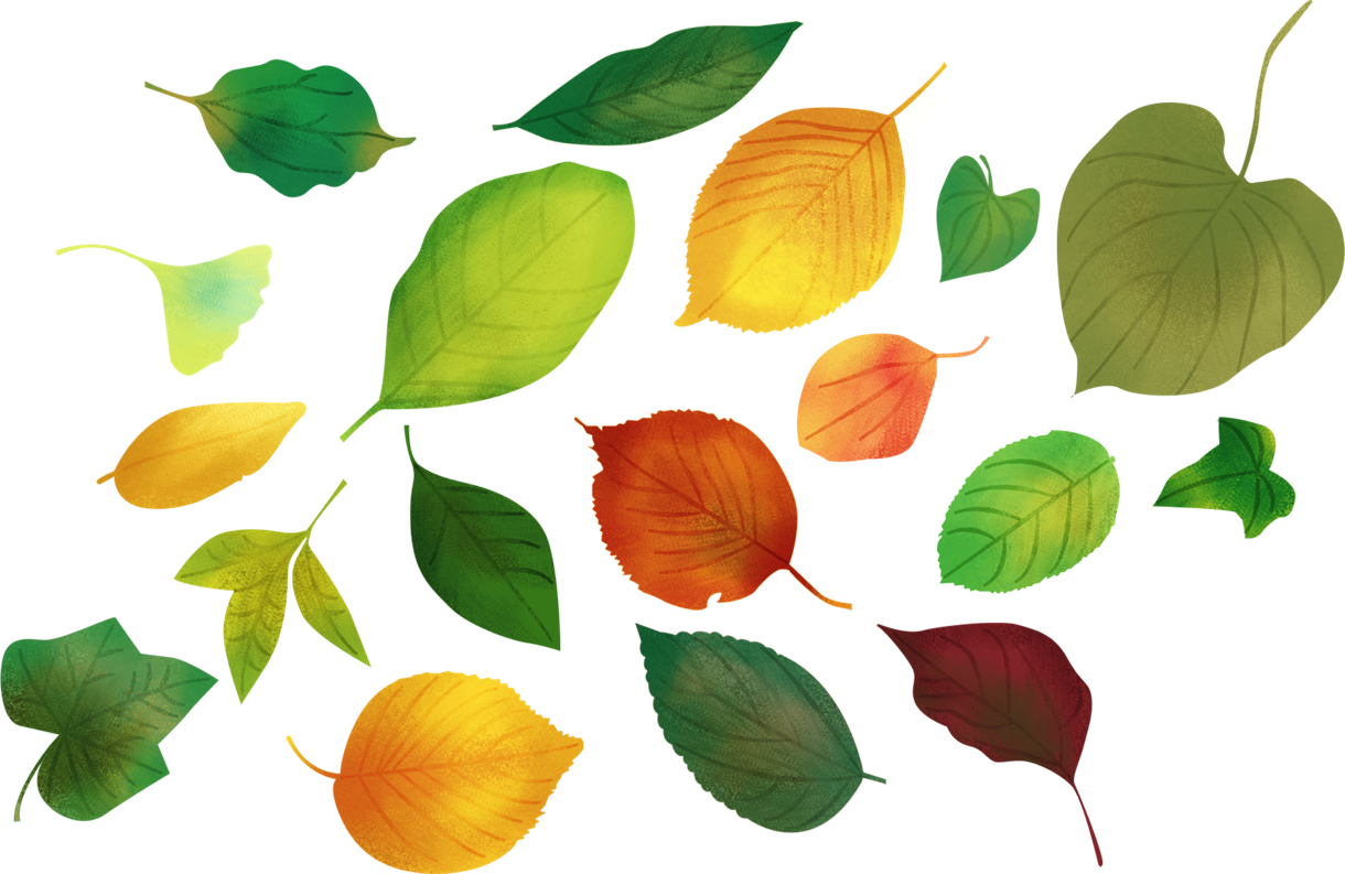 落ち葉 イラスト 手書き詳細 3位