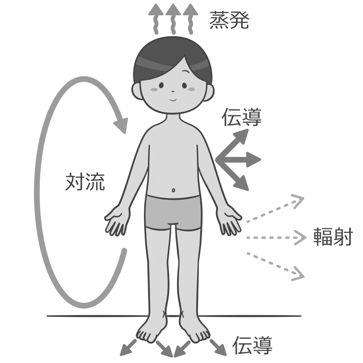 蒸発 イラスト詳細 8位