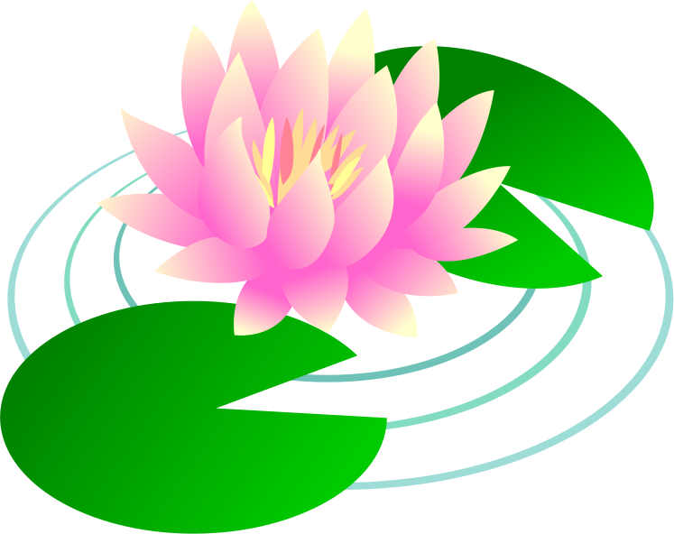 蓮 の 花 イラスト 綺麗詳細 11位