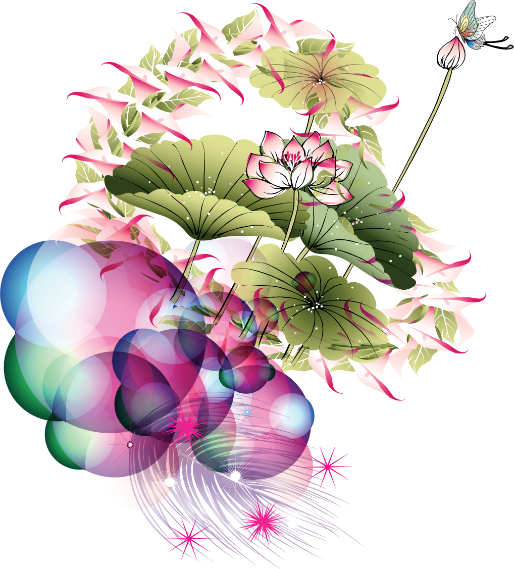 蓮 の 花 イラスト 綺麗詳細 7位