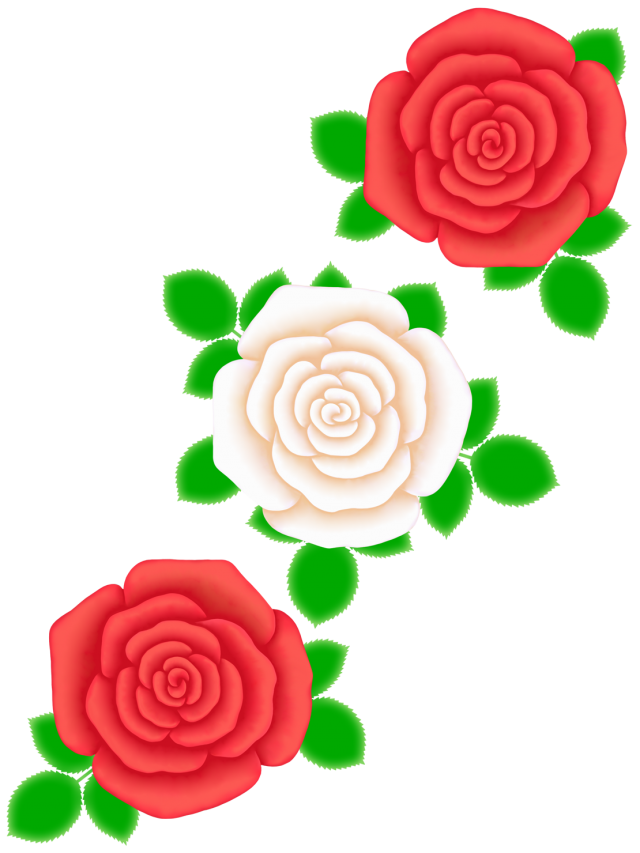 薔薇 イラスト シンプル詳細 7位