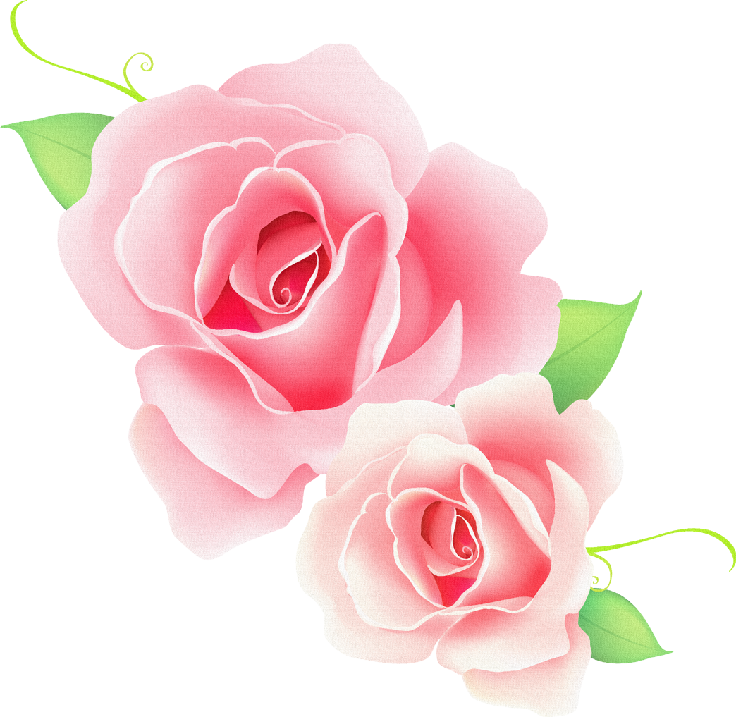 薔薇 イラスト フリー詳細 3位