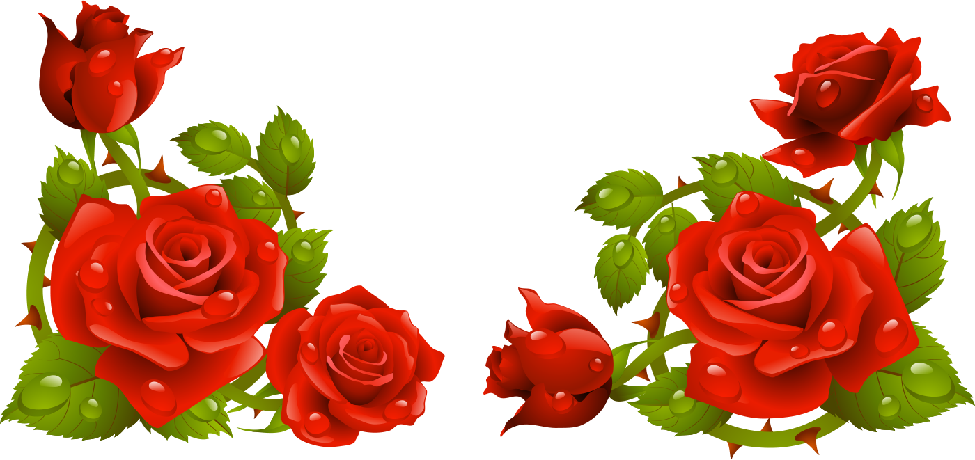 薔薇 フリー 素材詳細 9位