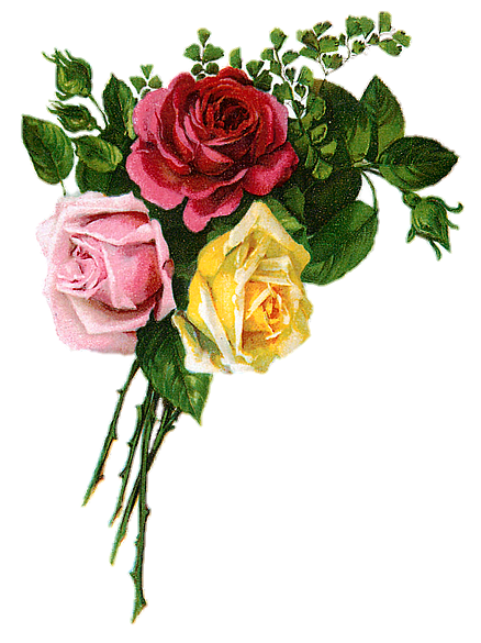 薔薇 フリー 素材 透過詳細 9位