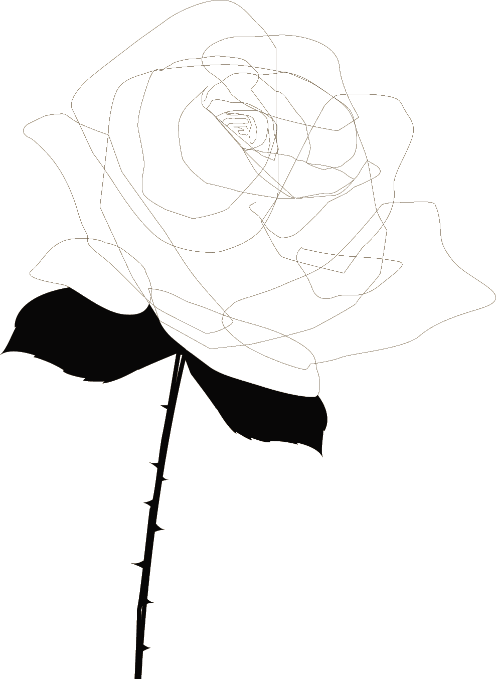 薔薇 線画 - KibrisPDR