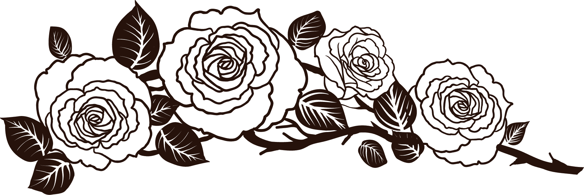 薔薇 線画詳細 5位