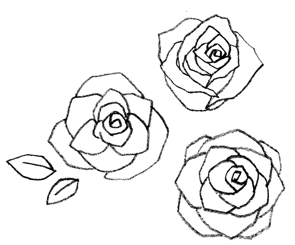 薔薇 線画詳細 4位