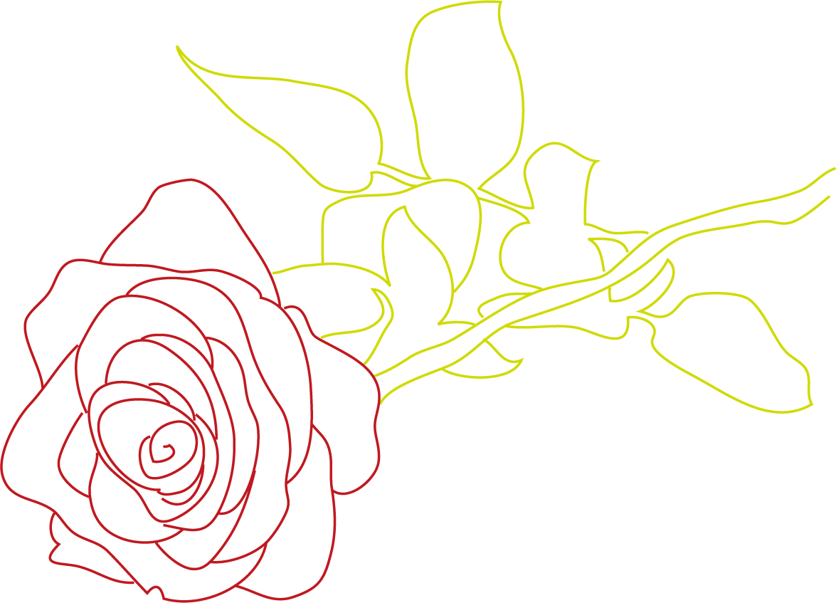 薔薇 線画 フリー 素材 - KibrisPDR