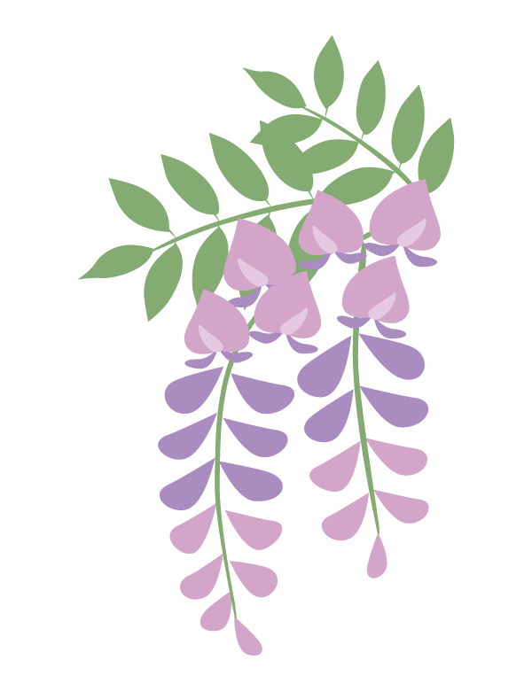 藤 の 花 イラスト 簡単 - KibrisPDR