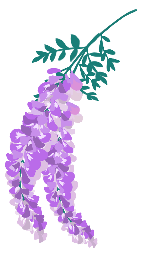 藤 の 花 イラスト 簡単詳細 9位