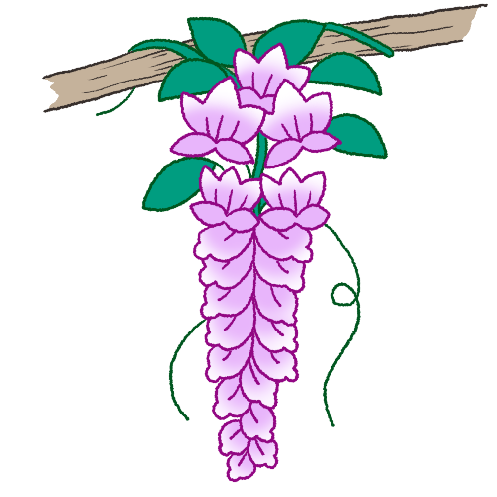 藤 の 花 イラスト 簡単詳細 12位