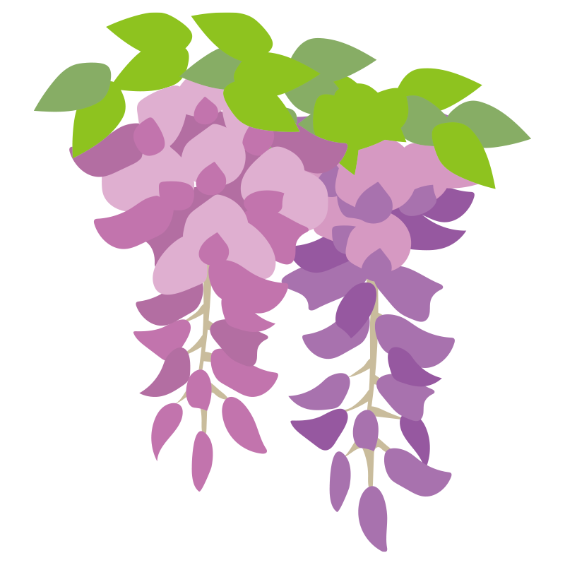 藤 の 花 イラスト 簡単詳細 3位