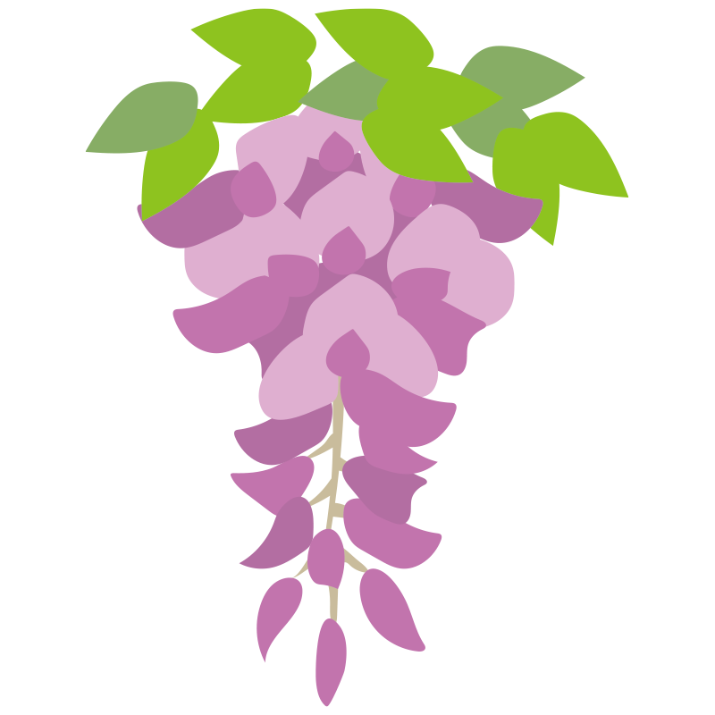 藤 の 花 イラスト 簡単詳細 5位