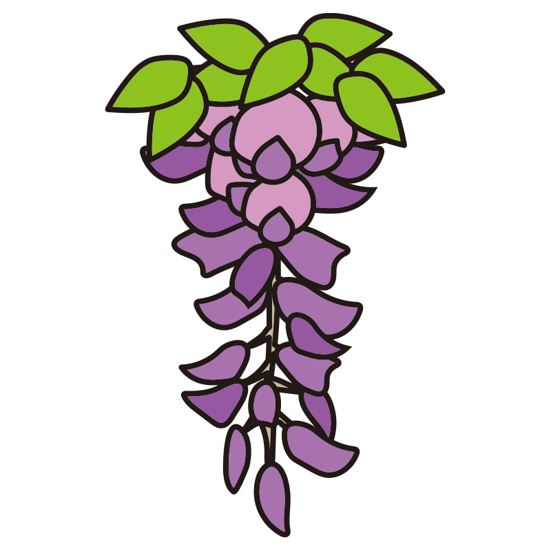藤 の 花 イラスト 簡単詳細 7位