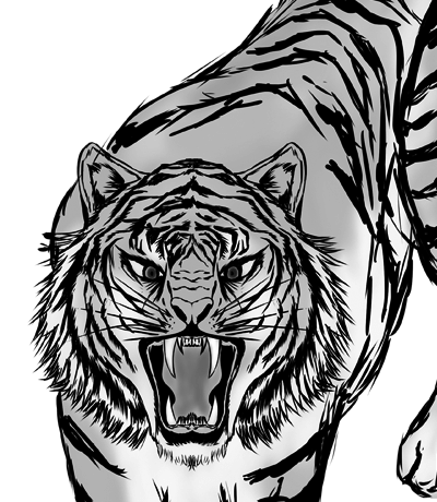 虎 白黒 イラスト詳細 12位