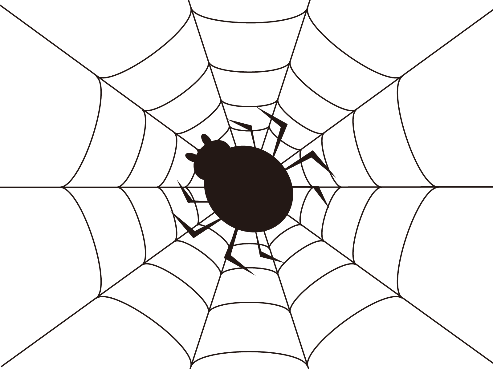 蜘蛛 白い 線 - KibrisPDR