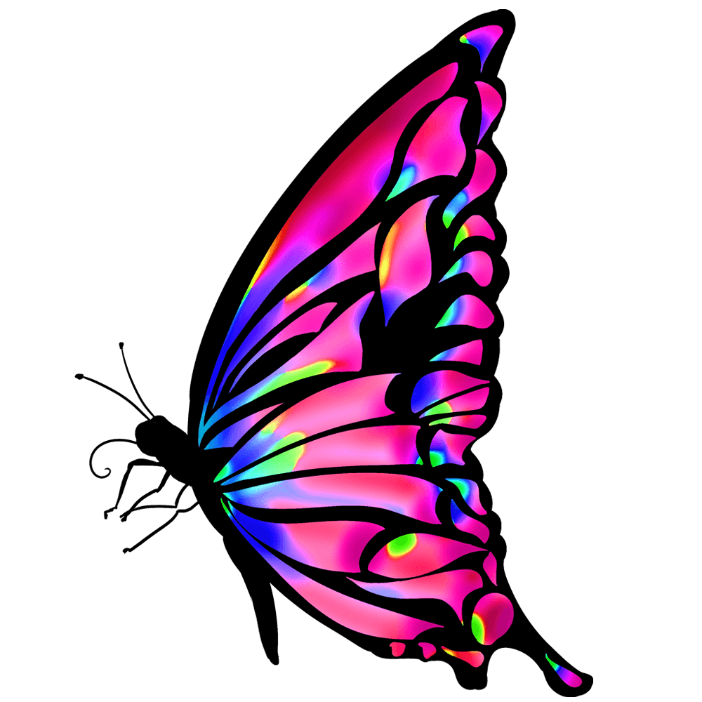 蝶 綺麗 イラスト - KibrisPDR