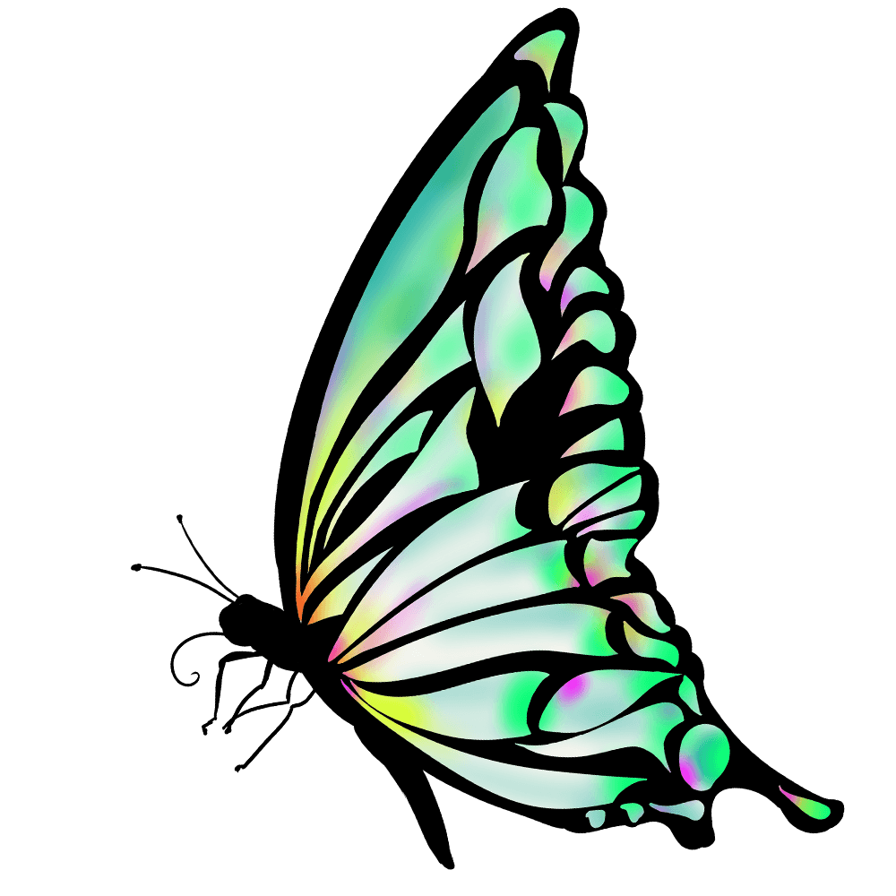 蝶々 イラスト リアル - KibrisPDR