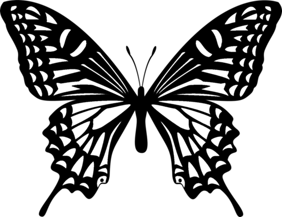 蝶々 イラスト 白黒 - KibrisPDR