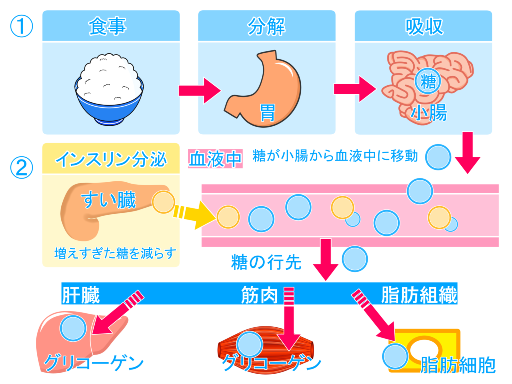 血糖 値 イラスト詳細 6位