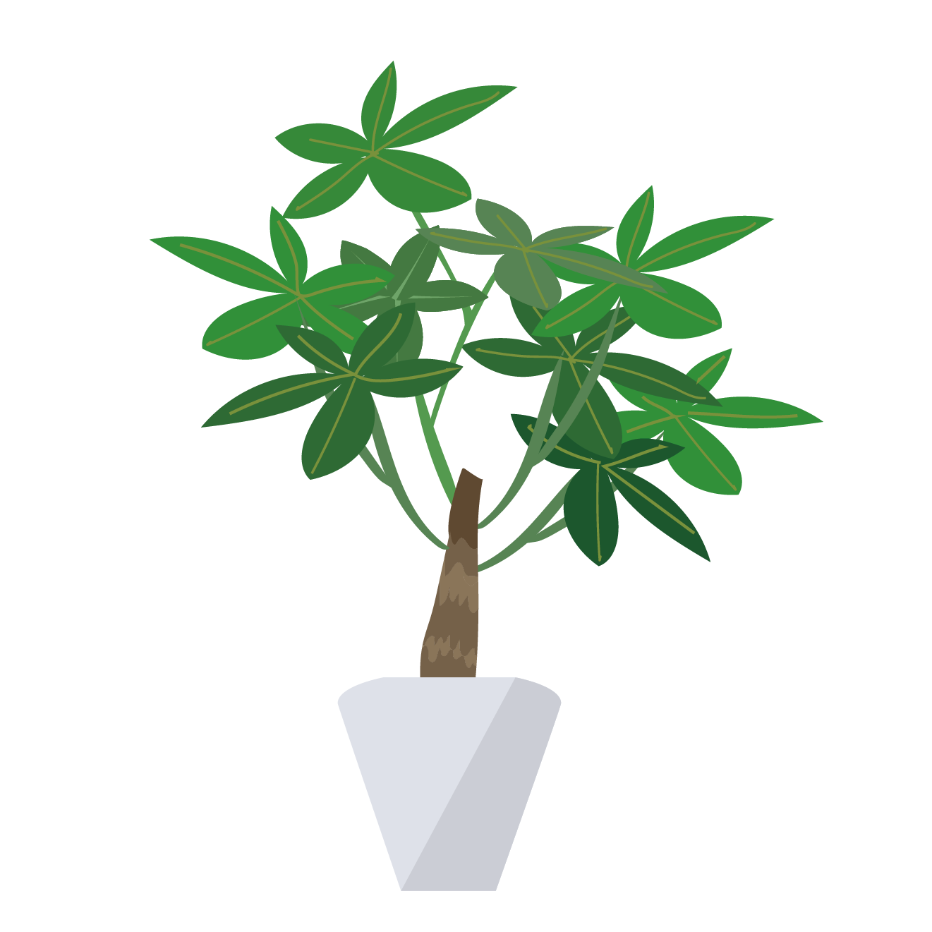 観葉 植物 イラスト 無料 - KibrisPDR