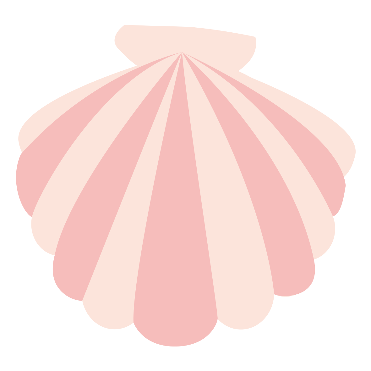 貝殻 の 絵 - KibrisPDR