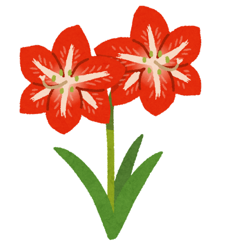 赤い 花 イラスト詳細 11位