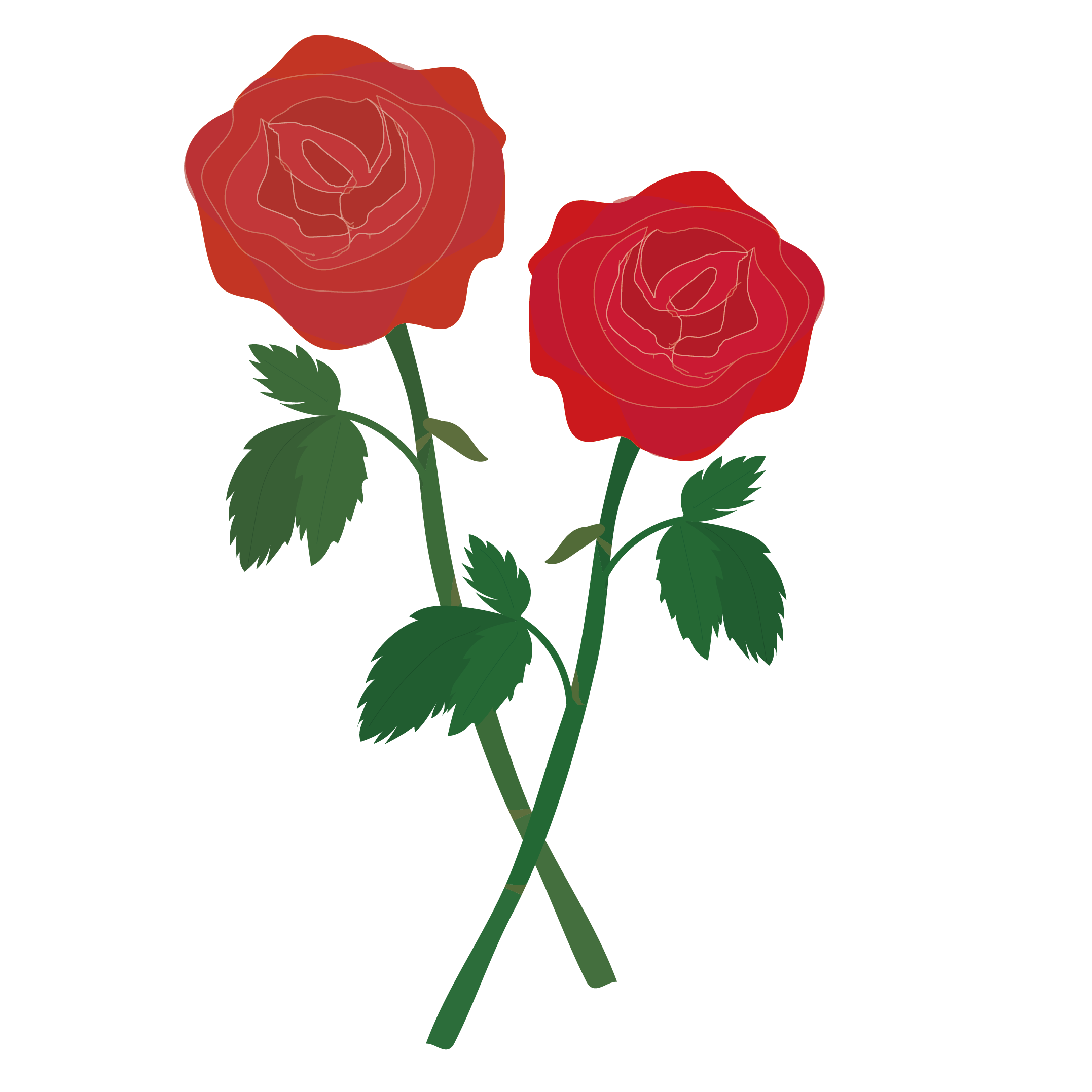 赤い 薔薇 イラスト詳細 2位
