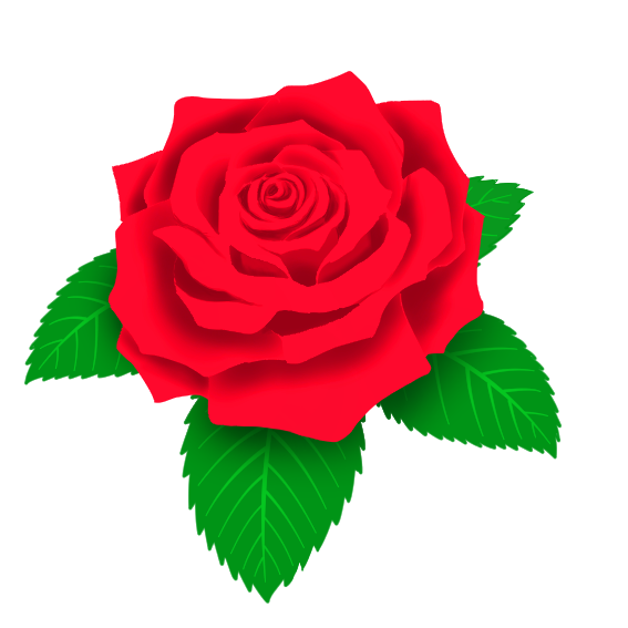 赤い 薔薇 イラスト詳細 6位