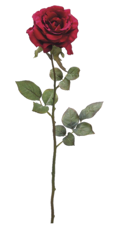 赤い 薔薇 壁紙詳細 9位