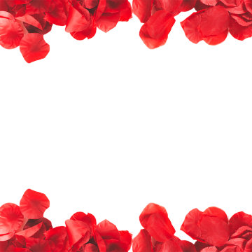 赤い 薔薇 壁紙詳細 8位