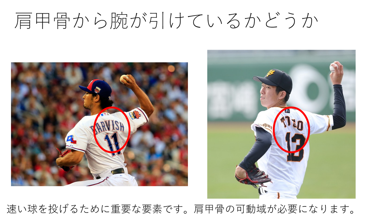 野球 ポスター詳細 7位