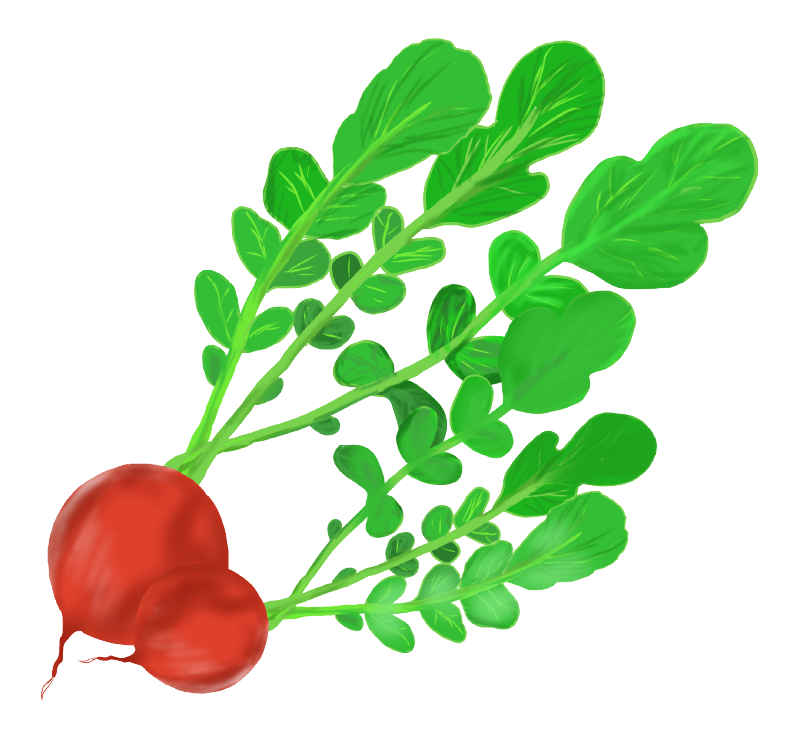 野菜 イラスト 手書き詳細 2位