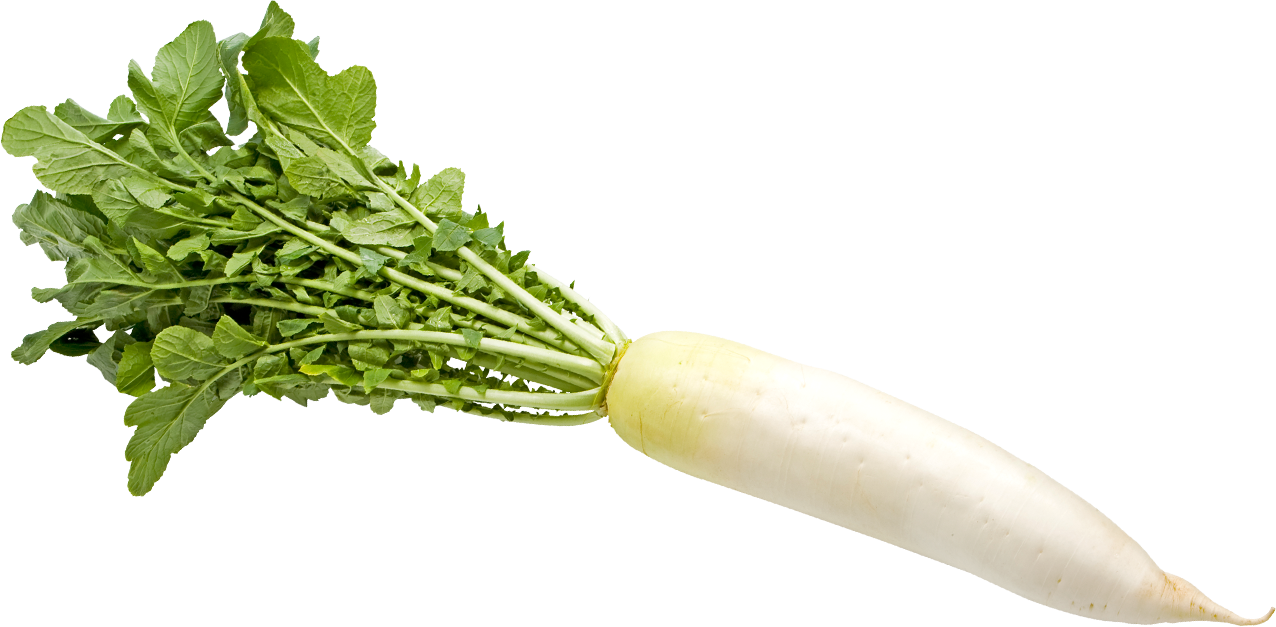 野菜 写真詳細 2位
