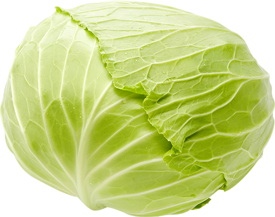野菜 写真詳細 6位