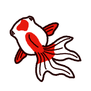 金魚 イラスト 上 から - KibrisPDR