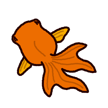 金魚 イラスト 上 から詳細 2位
