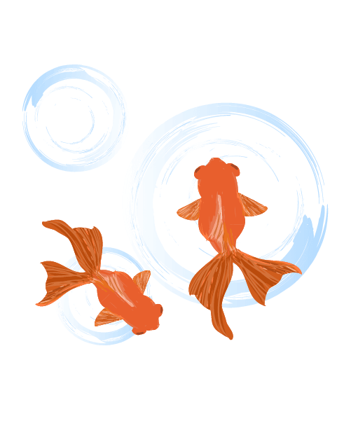 金魚 イラスト 上 から詳細 9位