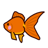 金魚 イラスト 上 から詳細 10位