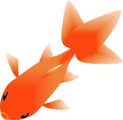 金魚 イラスト 上 から詳細 4位