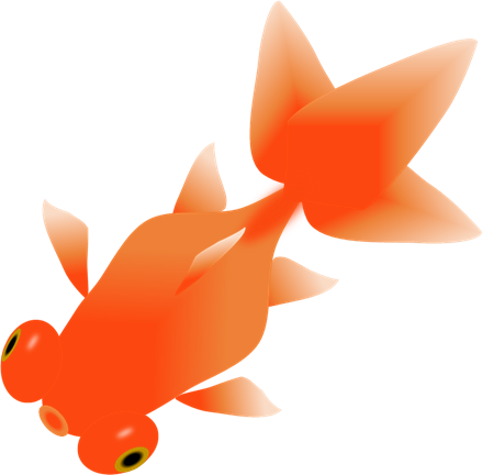 金魚 イラスト 上 から詳細 5位
