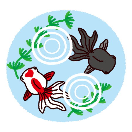 金魚 イラスト 上 から詳細 6位